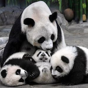 Meet your Posher, Peggy